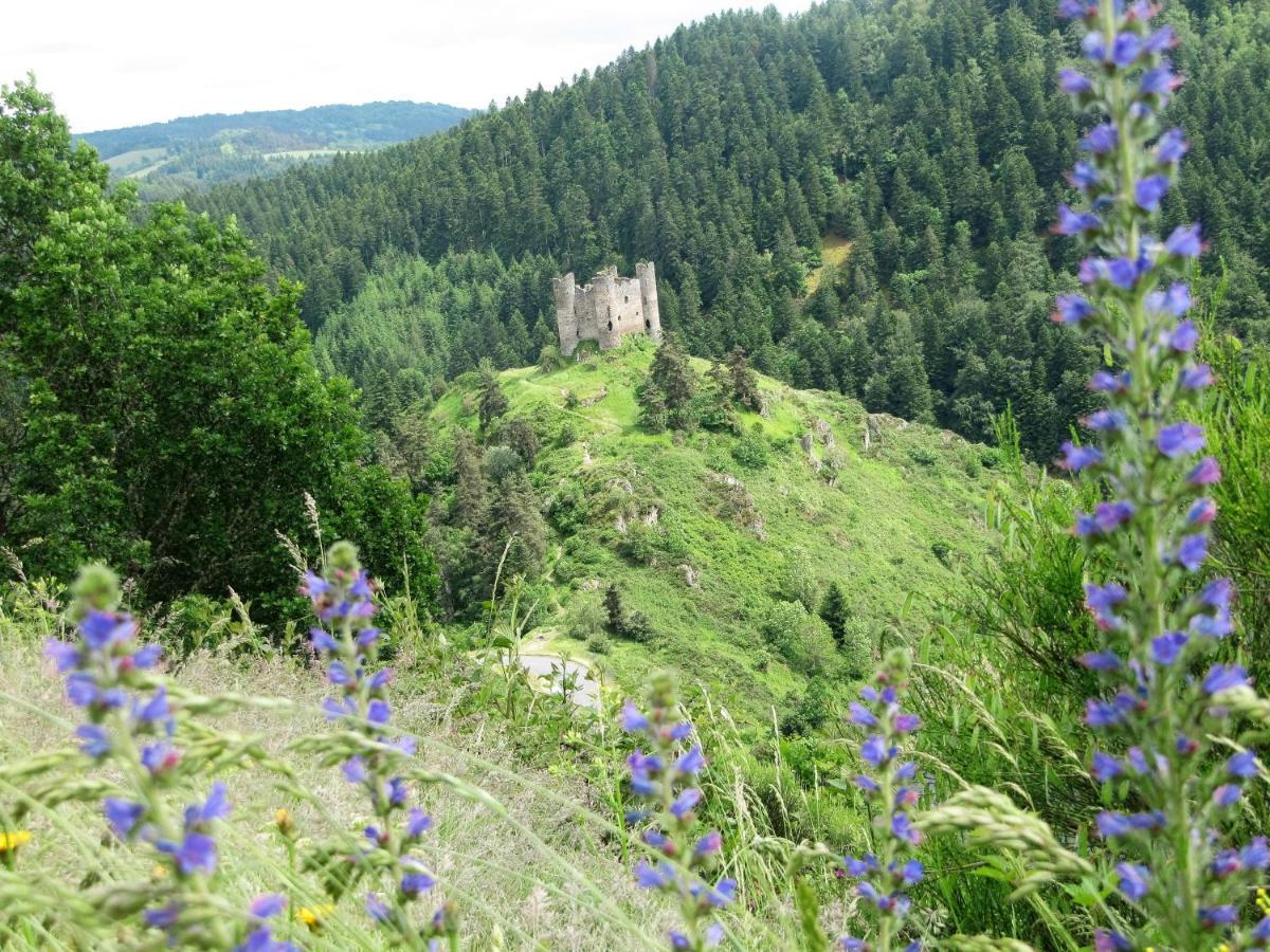 Hotel Des Rochers Marvejols